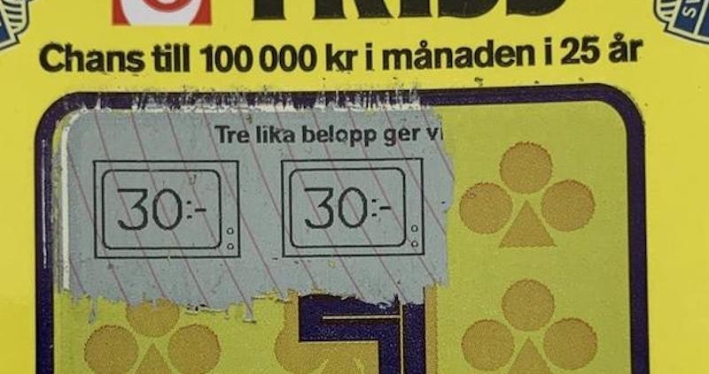 Bröderna vann en halv miljon efter skrap i TV