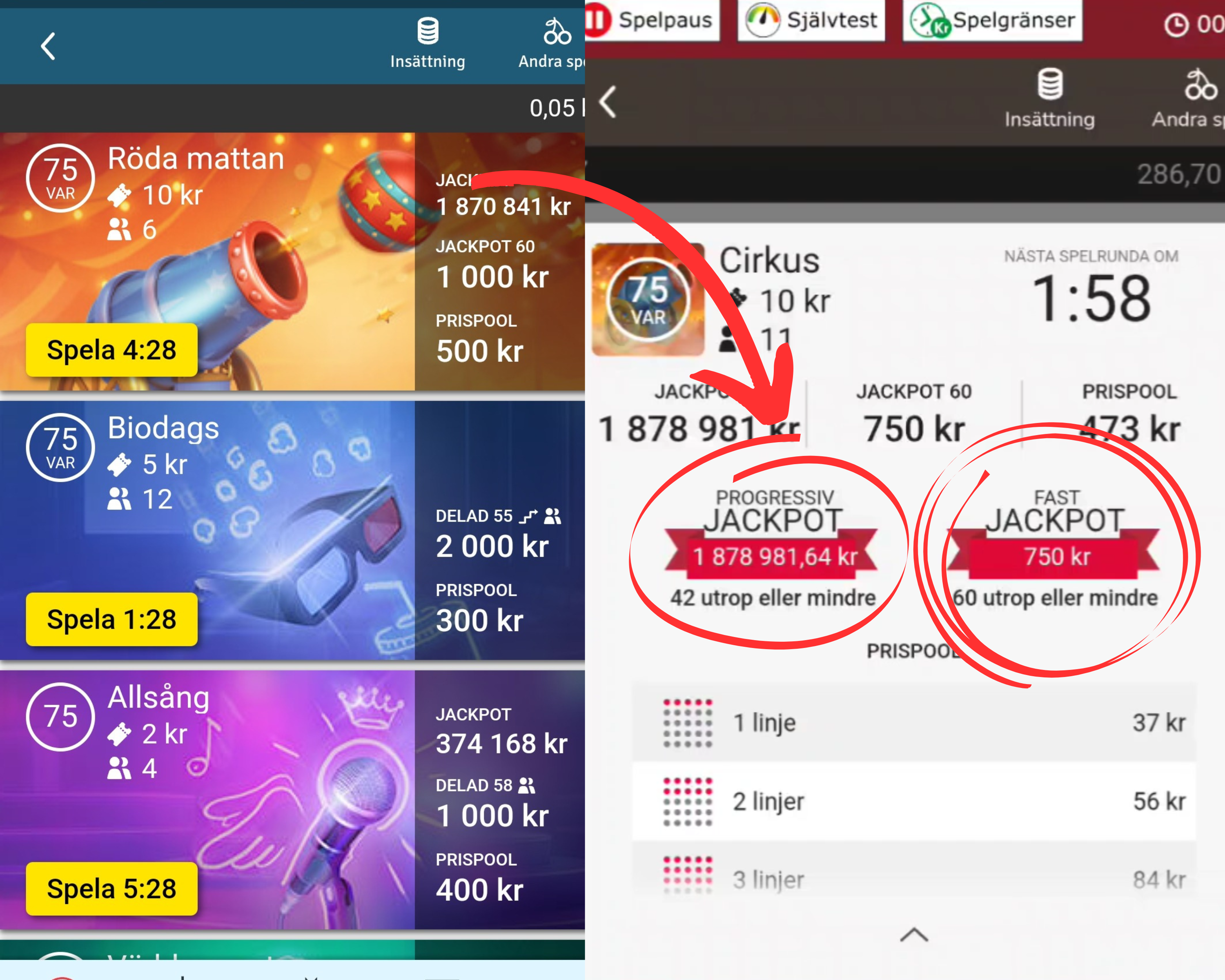 Bingo jackpottar hos Maria Casino