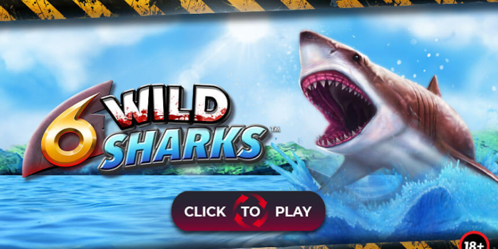 6 Wild Sharks