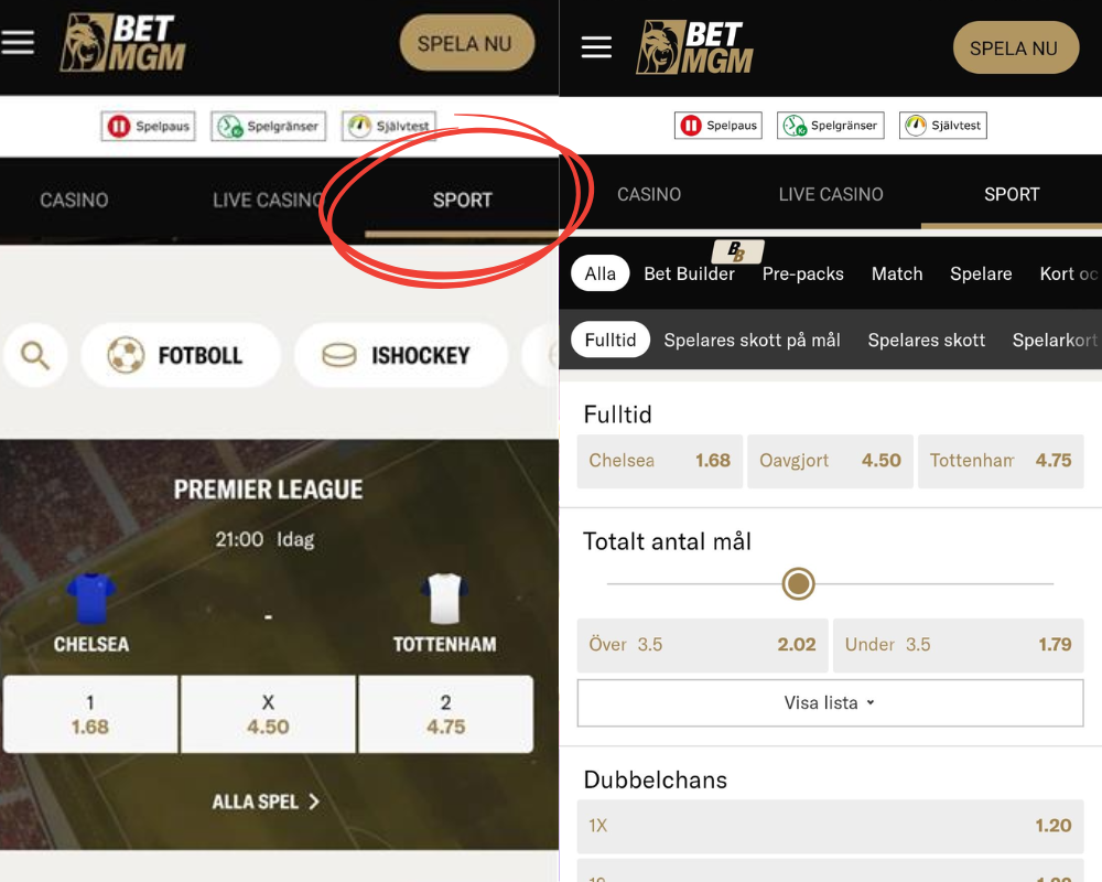 BetMGMs sportsbook