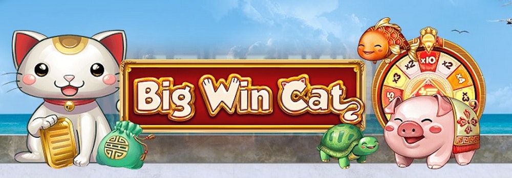 Big Win Cat från Play'N GO