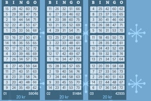 Vann över 655 000 kr på bingo