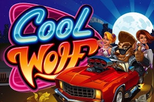 Cool Wolf