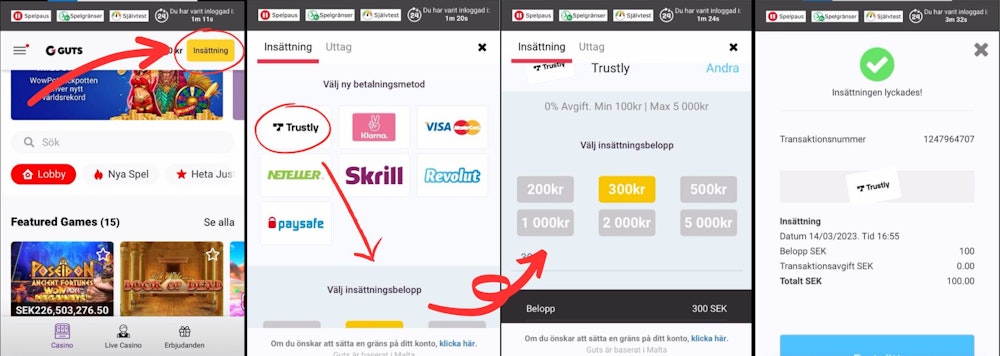 Insättning hos Guts