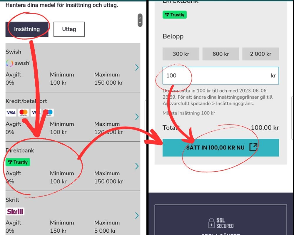 Insättning med Trustly 1