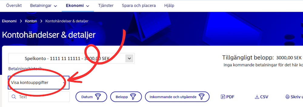kontoutdrag verifiering guide visa uppgifter