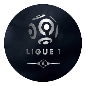 Ligue 1 franska ligan