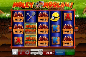 Moley Moolah från Reflex Gaming