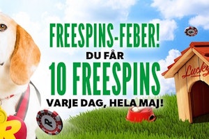 Nya spelare får 10 Free Spins varje dag hela Maj hos Rizk