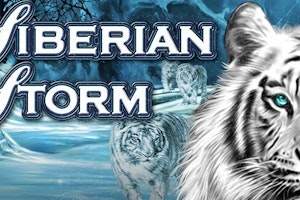 Spela Siberian Storm och tävla om 150 000 kr hos Mr Green