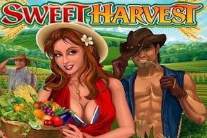 Sweet Harvest