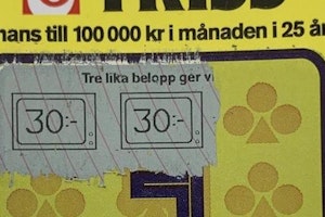 Bröderna vann en halv miljon