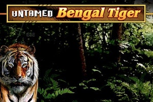 Untamed Bengal Tiger