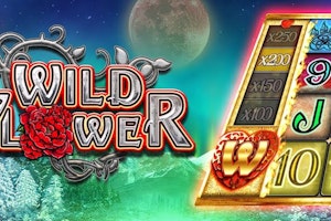 Wild Flower från Big Time Gaming