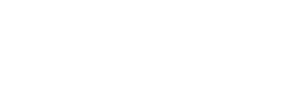 agent-spinner logo