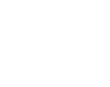 mr-green logo